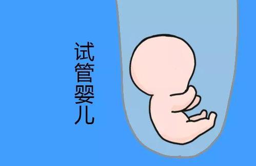 人工同志借卵代怀服务怎么找